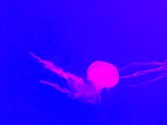 -多彩贵州城极地海洋世界