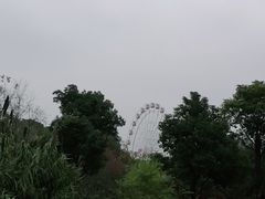 -东湖落雁景区