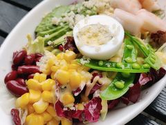 牛油果鲜虾藜麦沙拉-布拉格餐厅· 中欧捷克菜(全国首店)