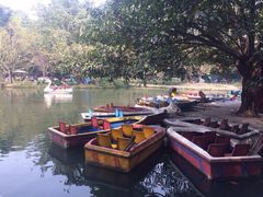 iphone_upload_pic-望江楼公园