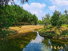 -东郊湿地公园