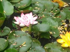 -镇江市南山风景名胜区竹林景区