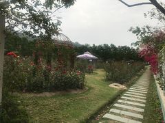 -丹樱生态园