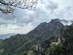 -王顺山国家森林公园