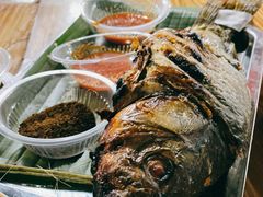 烤大鱼-杨合林啊兰烤鱼