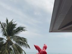 -日落吧·海景咖啡厅·餐酒吧·鸡尾酒·下午茶·乐队表演·浪漫夕阳·三亚文华东方酒店