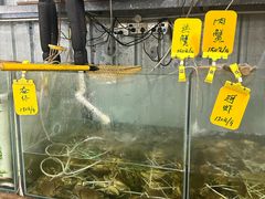 -辉记虾塘海鲜农庄