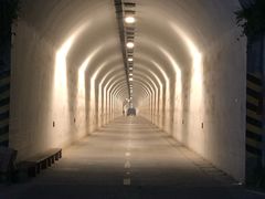 -胖大嫂渔家排档·全海景餐厅(渔村店)