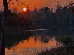 -昆山城市生态森林公园