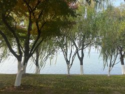 -玄武湖景区-情侣园游乐场