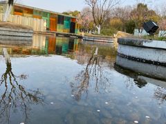 -白塘生态植物园