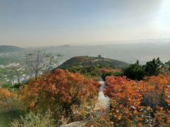 -北京西山国家森林公园