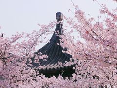 -苏州上方山国家森林公园