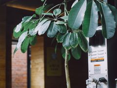 -VOYAGE COFFEE(北锣鼓巷店)