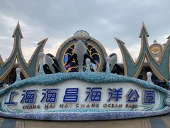 -上海海昌海洋公园