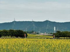 -光明小镇欢乐田园