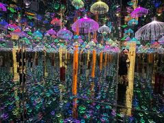 -深圳独角兽星空艺术馆