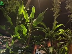 -西堤牛排(北京国瑞店)