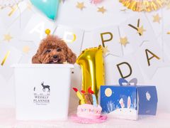 -PETKIT小佩宠物·低压洗护(国顺东路店)