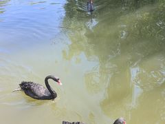 -石家庄市动物园