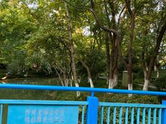 -青枫公园