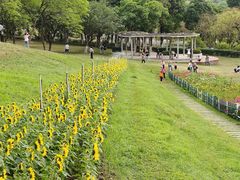-紫马岭公园