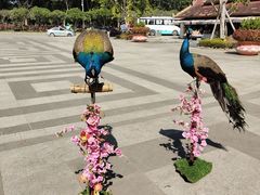 -西双版纳勐泐文化旅游区