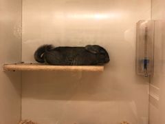 -龙猫仔乐园(惠福东路店)