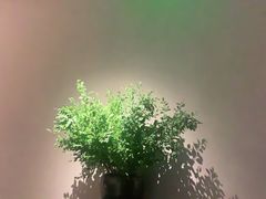-山里亲戚(淞虹路店)