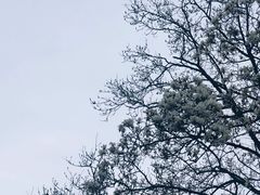 -杭州植物园