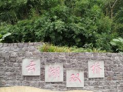 -重庆彩云湖湿地公园