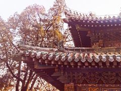 -潭柘寺景区