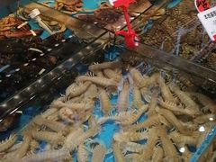 -必点海鲜·鲅鱼水饺(鞍山西道店)