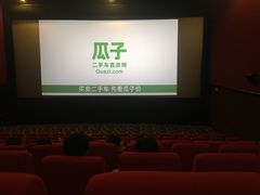 -武汉华夏国际影城(鲁广店)