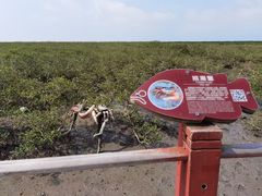 -北海金海湾红树林生态旅游区