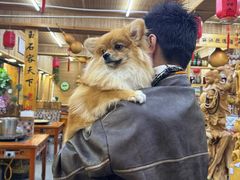 -老姐石板烧烤+铜炭火锅(总店)