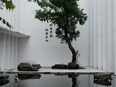 -中国宣纸文化园