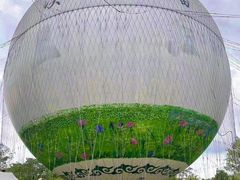 -野蔓果·山野菜(西湖景区·龙井茶田店)