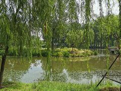 -东郊湿地公园