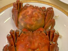 -王宝和酒家(黄浦店)