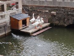 -苏州文庙(姑苏区)
