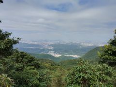 -梧桐山风景名胜区