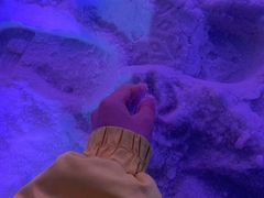 -世界之窗阿尔卑斯冰雪世界
