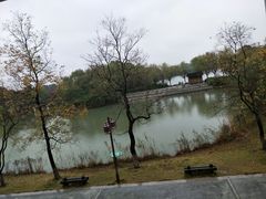 -太湖湖滨国家湿地公园-停车场