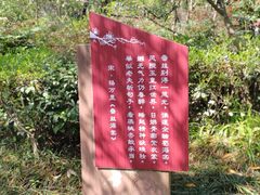-棠湖公园