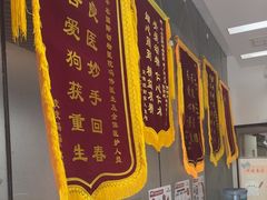 -中农国际动物医院24小时·猫科·骨科·急重症中心