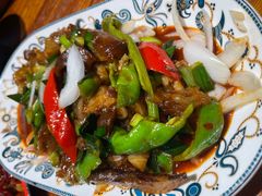 -柴窝堡22号辣子鸡·传承新疆菜