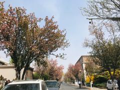 -天津五大道文化旅游区