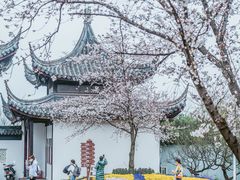 -苏州上方山国家森林公园