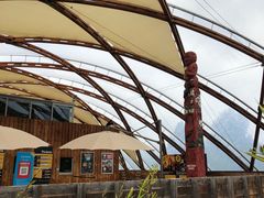 -怀托摩萤火虫洞